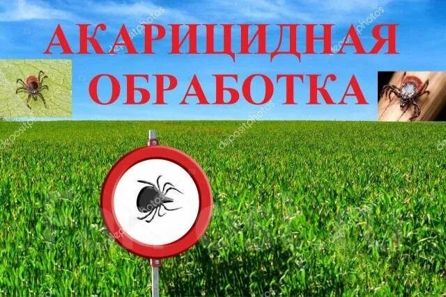 Акарицидная обработка