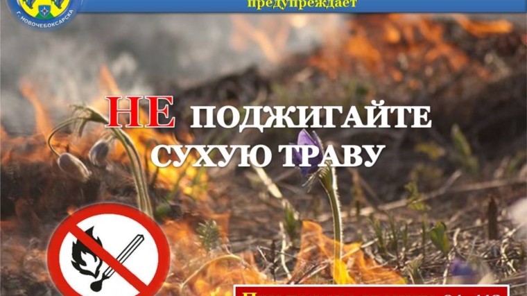 АПРЕЛЬСКОЕ ПРЕДУПРЕЖДЕНИЕ: ПОЧЕМУ ВЕСНОЙ НЕЛЬЗЯ ЖЕЧЬ ТРАВУ