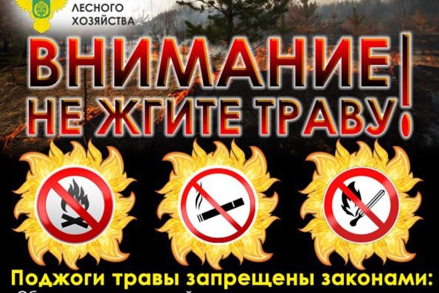 Огонь — не игрушка: как весеннее тепло превращается в трагедию