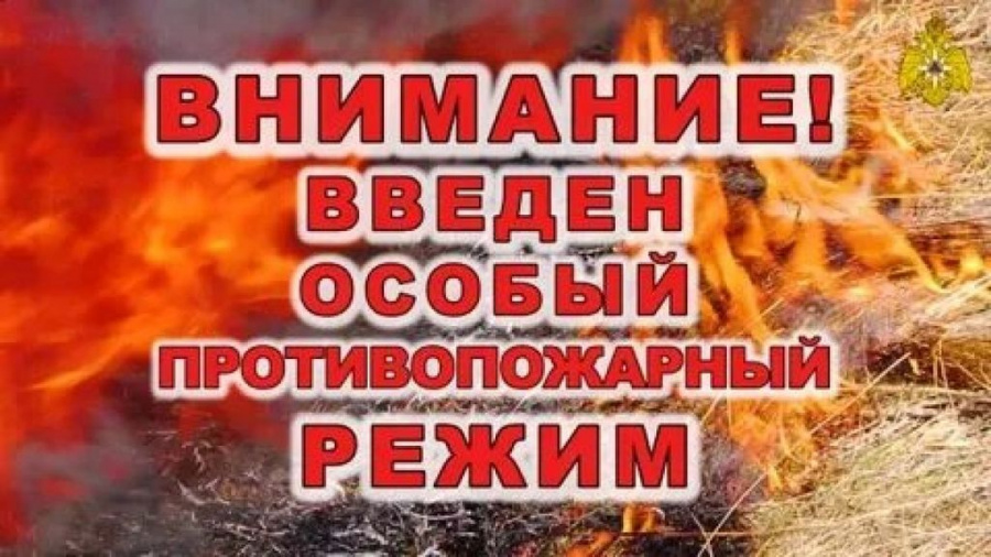 В Белоглинском сельском поселении введен особый противопожарный режим