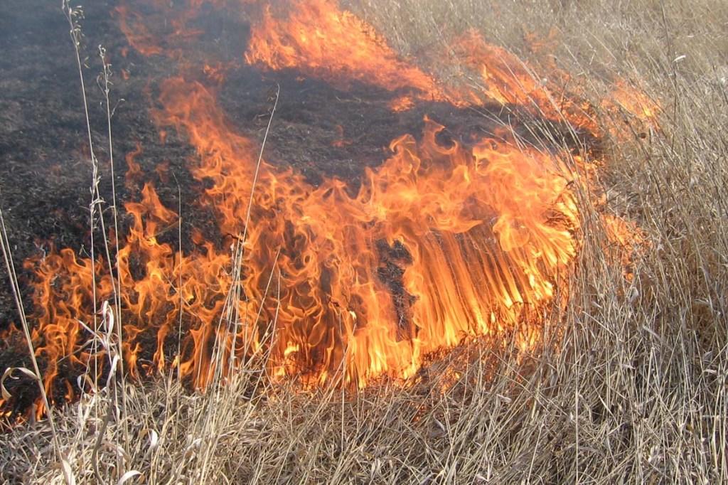 Пожарная безопасность
